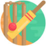 cricket